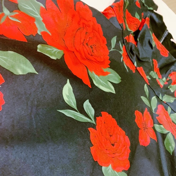 Review Floral Dress (Red Roses) Size 10 - Picture 5 of 8